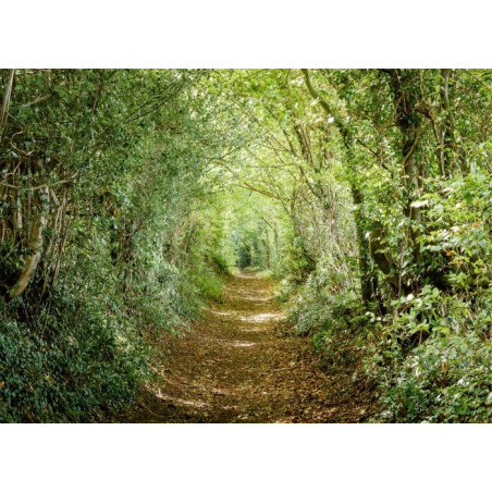 GREEN ROAD Canvas print