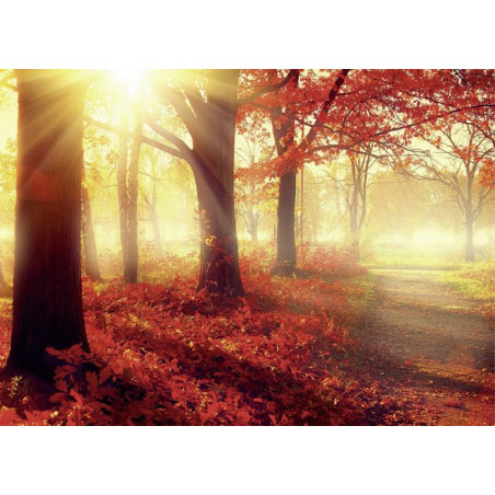 AUTUMN SUN Canvas print